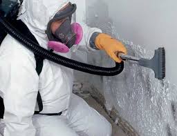 Best Post-Construction Mold Inspection in Rocklin, CA